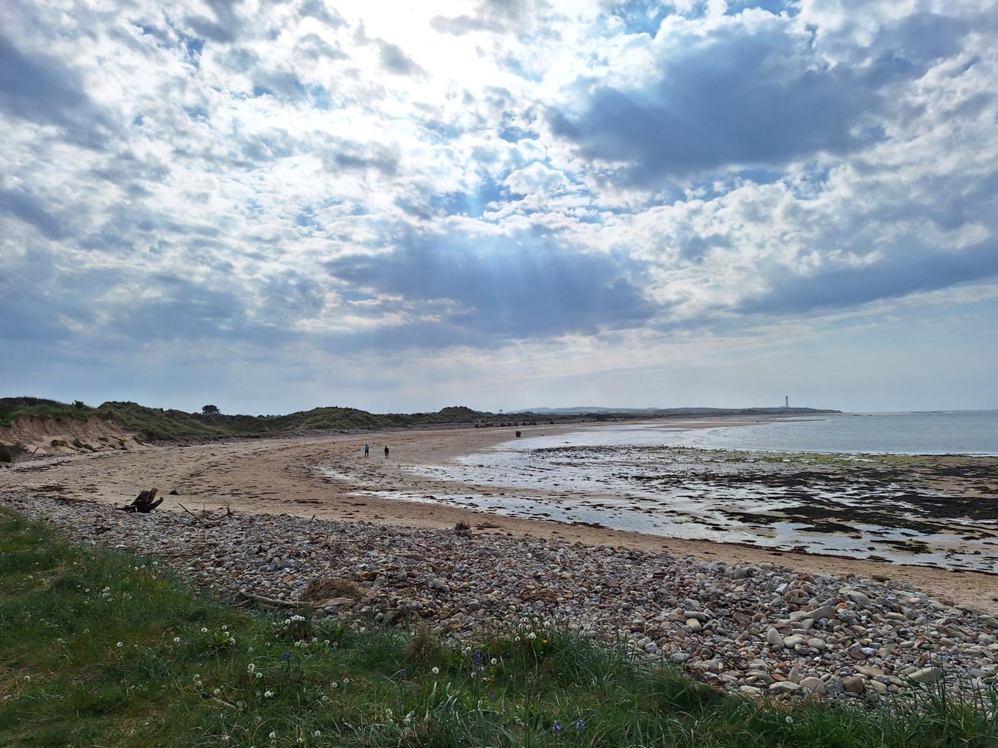 1 Fulmar Road**Next To West Beach And Golf Course Lossiemouth Exterior photo